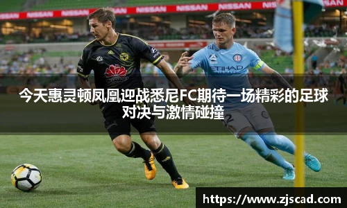 k1体育十年品牌官网