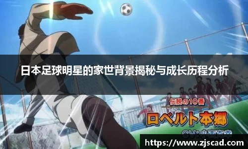 k1体育-十年品牌